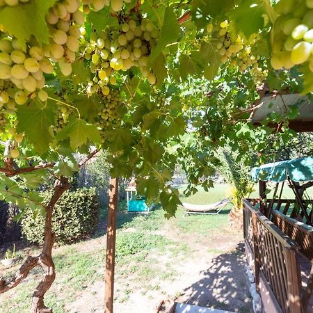 Villetta Indipendente Vicino Aeroporto Φιουμιτσίνο Εξωτερικό φωτογραφία